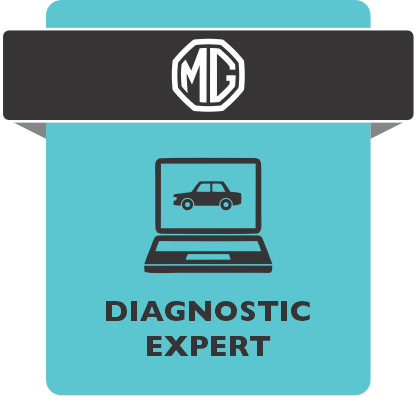 diagnostic expert